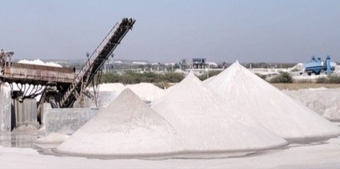 Conveyor stacking washed silica sand