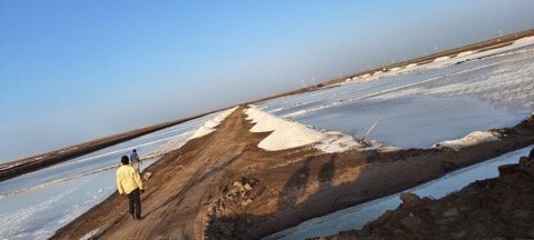 Salt field inspection by Alham Exim sourcing team