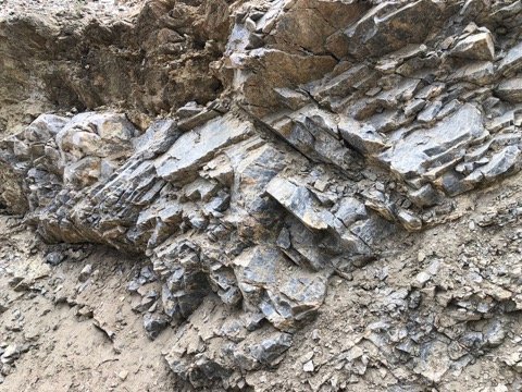 Weathered quartzite outcrop at exploration site
